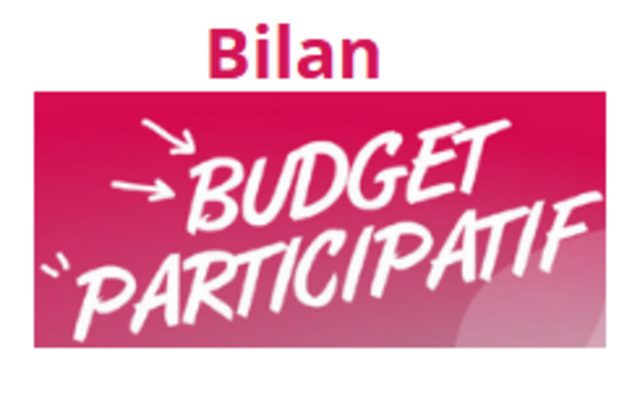 Image d'illustration pour : Bilan du Budget Participatif